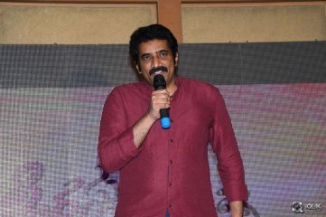 Srirastu Subhamastu Movie Success Meet
